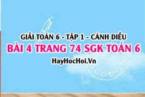 Giải bài 4 trang 74 Toán 6 Tập 1 SGK Cánh Diều